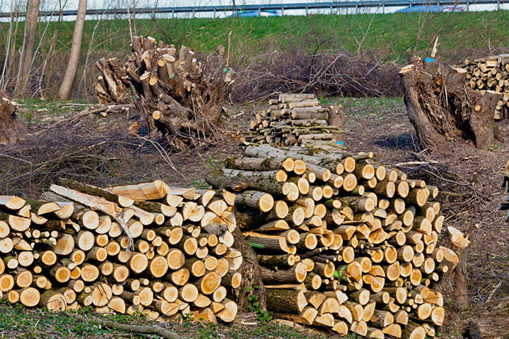 Sulzle Transport natuurherinrichting